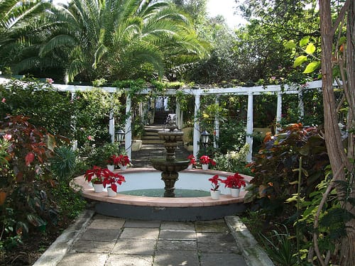 El Jardín del Sitio Litre, en Puerto de la Cruz